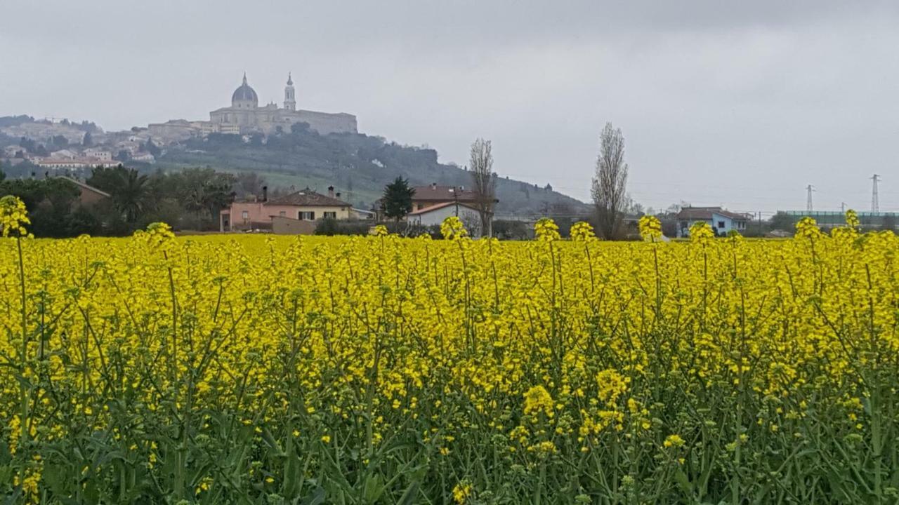 Villetta Del Conero Порто-Реканати Экстерьер фото